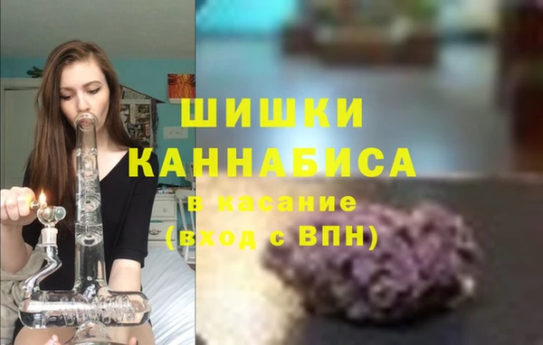 шишки Баксан