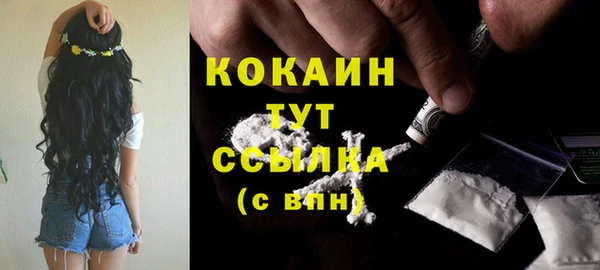шишки Баксан