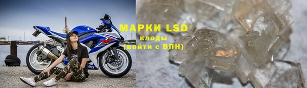 шишки Баксан
