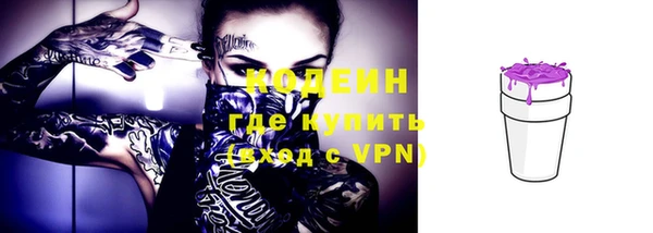 шишки Баксан