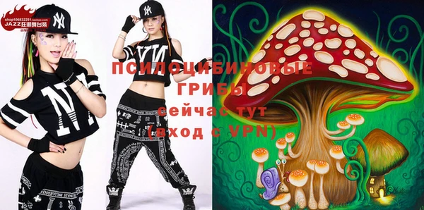 дмт Балахна