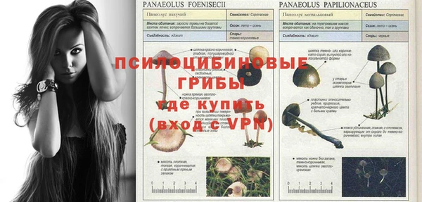 дмт Балахна